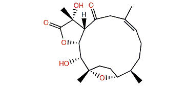 Pachyclavulariolide R